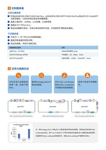 病毒包裝相關試劑盒與一站式服務 為科研保駕護航